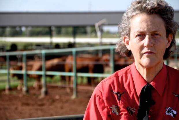 Temple Grandin Kimdir