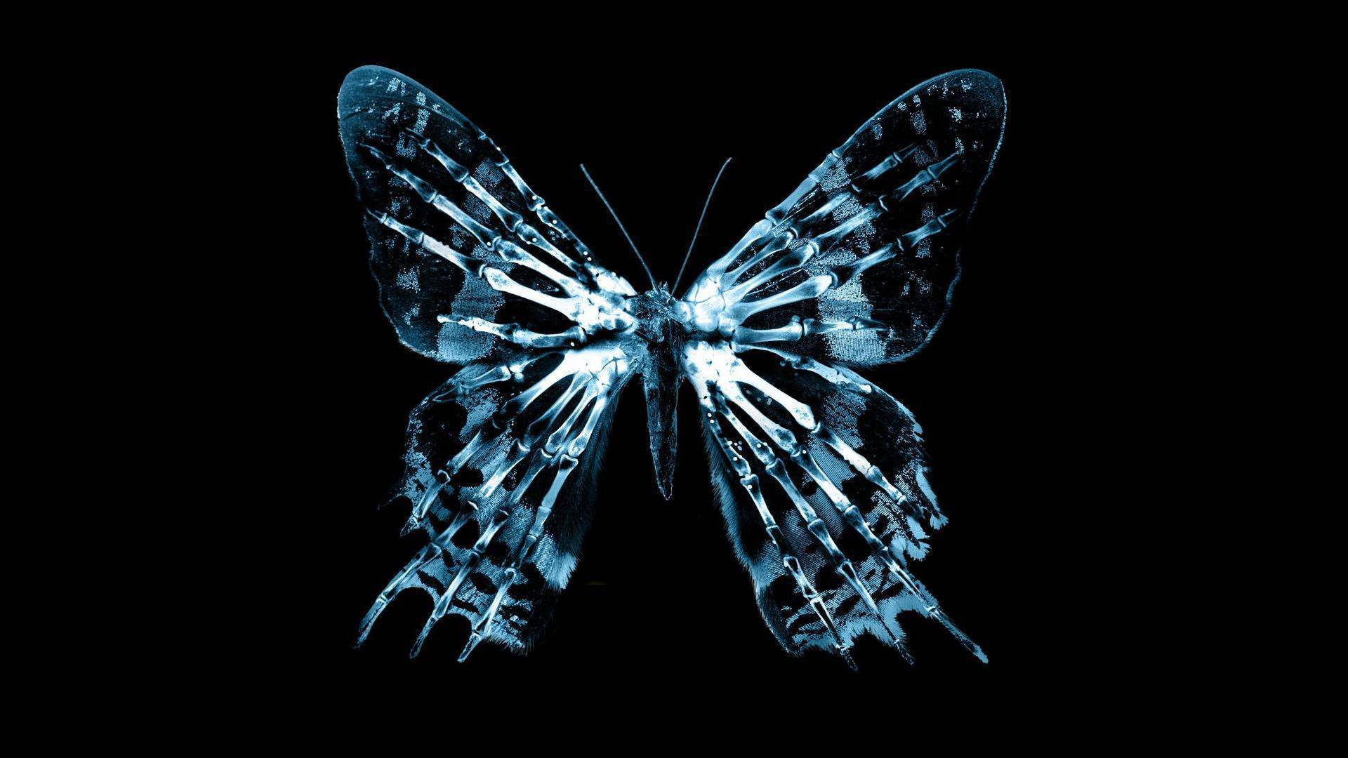 The Butterfly Effect (Kelebek Etkisi)