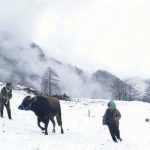 kalandar-sogugu-filmi-konusu-ve-oyunculari