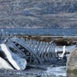 leviathan-filmi-konusu-ve-oyunculari